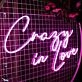 Crazy In Love Neon Sign