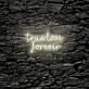 True love forever LED neon sign