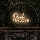 Drunk In Love LED Neon Sign