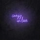 Crazy in love LED neon sign