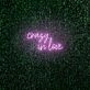 Crazy in love LED neon sign