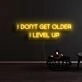 I Dont Get Older I Level Up Neon Sign