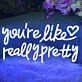You're Like Really Pretty LED Neon Sign