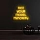 Not Your Model Minority Neon Sign