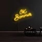 Ok Boomer Neon Sign