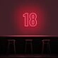 18 Neon Number Neon Sign
