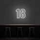 18 Neon Number Neon Sign
