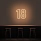 18 Neon Number Neon Sign