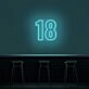 18 Neon Number Neon Sign