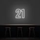 21 Neon Number Neon Sign
