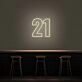 21 Neon Number Neon Sign