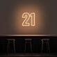 21 Neon Number Neon Sign