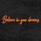 Believe In Your Dreams Neon Sign
