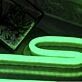 Cactus Neon Sign