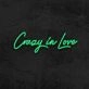 Crazy In Love Neon Sign