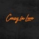 Crazy In Love Neon Sign