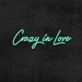Crazy In Love Neon Sign