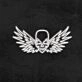 Flying Skull Neon Sign