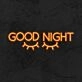 Good Night Neon Sign