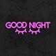 Good Night Neon Sign