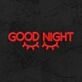 Good Night Neon Sign
