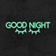 Good Night Neon Sign