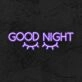 Good Night Neon Sign