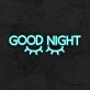 Good Night Neon Sign
