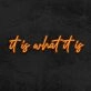 It Is What It Is Neon Sign
