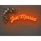 Just Married Arch Neon Sign