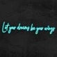 Let Your Dreams Be Your Wings Neon Sign