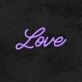 Love Neon Sign