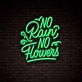 No Rain No Flowers Lettering Neon Sign