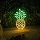 Pineapple Tropical Summer Plant Neon Sign