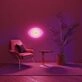 Pink Im Watching You Eye Neon Sign