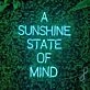 Sunshine Neon Sign