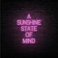 Sunshine Neon Sign
