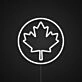 Canadian Maple Leaf Canada Day Neon Sign