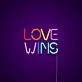 Love Wins Neon Sign