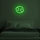 "CANCER" LED Neon Sign