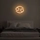 "CANCER" LED Neon Sign