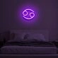 "CANCER" LED Neon Sign