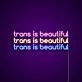 Trans Is Beautiful Neon Sign