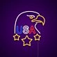 USA Eagle Neon Sign