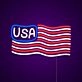 USA Flag Neon Sign MNC40572