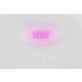 1995 Neon Sign