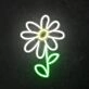 Daisy Neon Sign