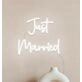 Just Married Neon Sign