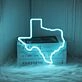 Texas Neon Sign