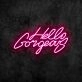 Hello Gorgeous Neon Sign